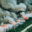 Le Canada est devenu le quatrième plus gros émetteur de CO2 en 2023 à cause de ses feux de forêt