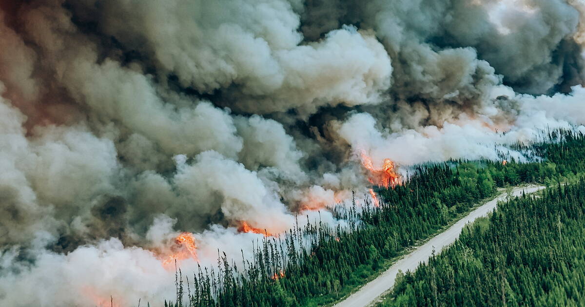 Le Canada est devenu le quatrième plus gros émetteur de CO2 en 2023 à cause de ses feux de forêt