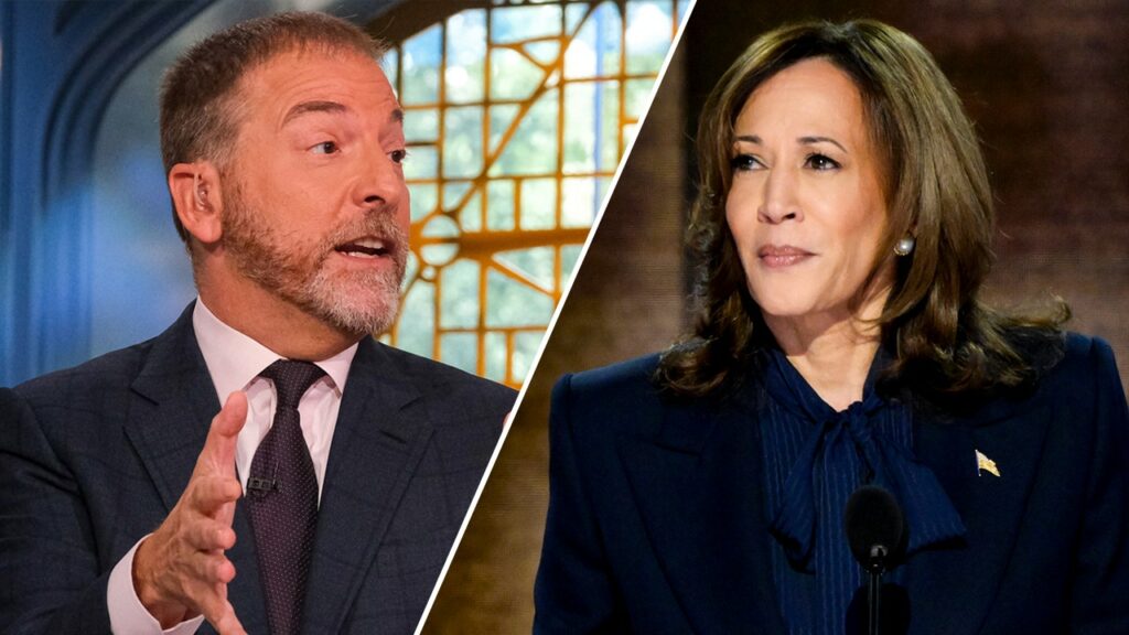 NBC's Chuck Todd knocks Kamala Harris' 'mistake' of avoiding press: 'Any fumble' will be 'overly scrutinized'