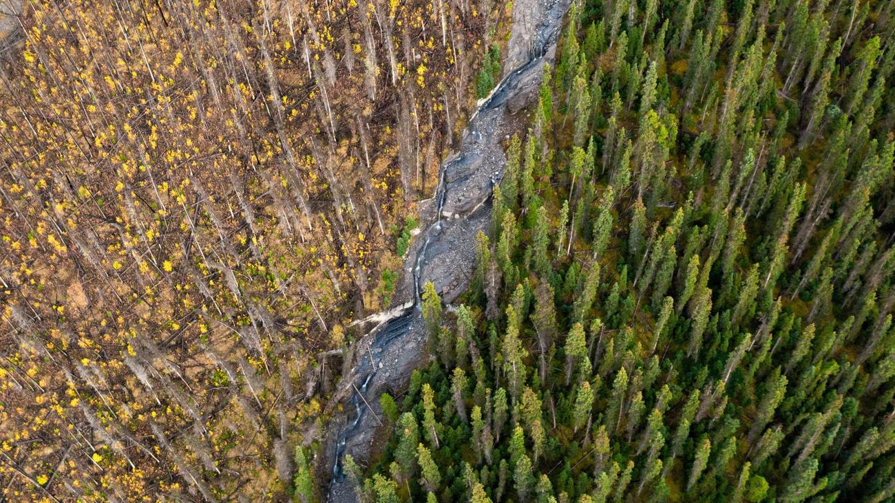 Klimawandel: Viel Licht, viel Schatten