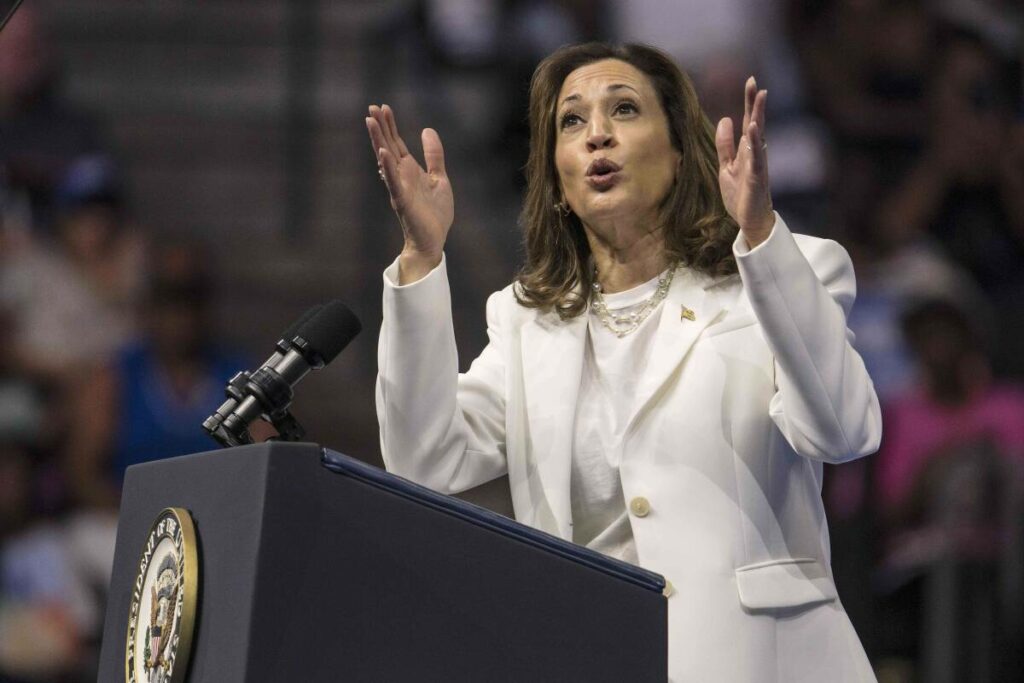 Présidentielle américaine 2024 : Trump, fracturation hydraulique, guerre à Gaza… Ce qu’a dit Kamala Harris lors de sa première interview de candidate