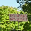 Bébés à la rue : la Métropole de Lyon annonce reprendre les prises en charge des mères sans abri