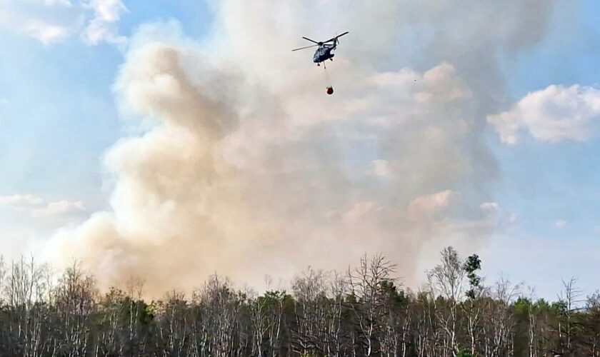 Brandenburg: Waldbrand bei Jüterbog breitet sich aus