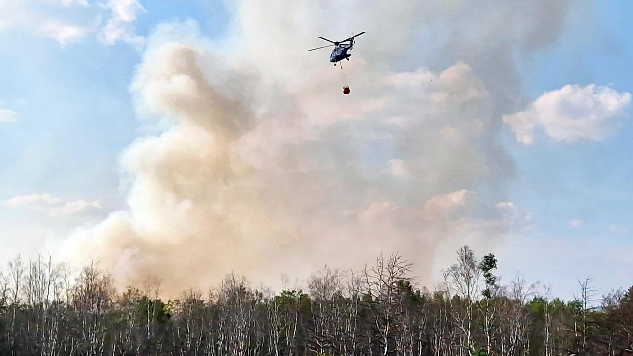 Brandenburg: Waldbrand bei Jüterbog breitet sich aus