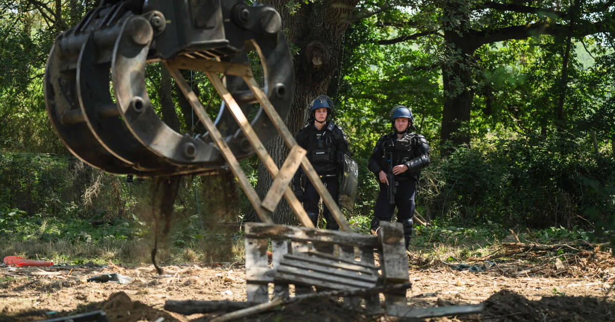 Chantier de l’A69 : la gendarmerie détruit «La Calarbre», un campement d’opposants, avant la poursuite de l’abattage des arbres