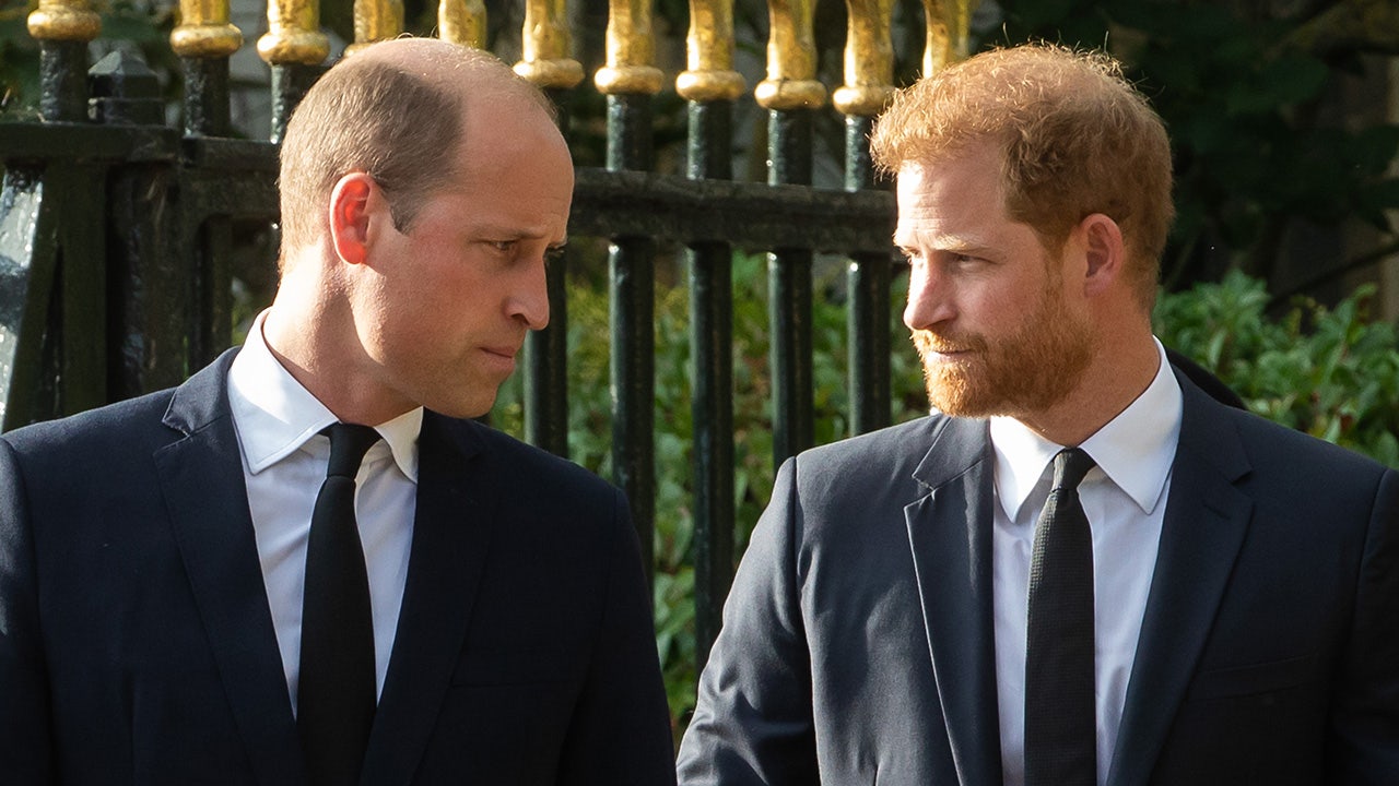 Prince Harry, Prince William avoid each other at uncle's funeral as royal feud continues: report