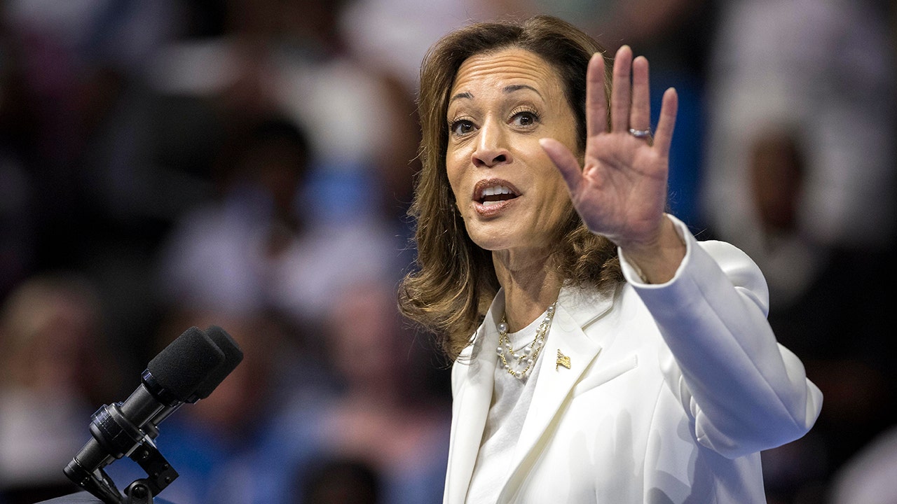 NY Times columnist says 'vague', 'vacuous' Kamala Harris interview did not help her