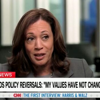 'For election purposes': Critics balk at Harris' claim she will 'enforce our laws' at southern border