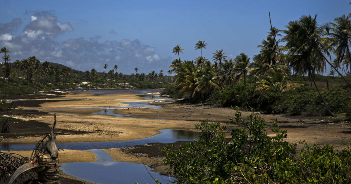 Baixio, un paradis brésilien entre lagunes et océan