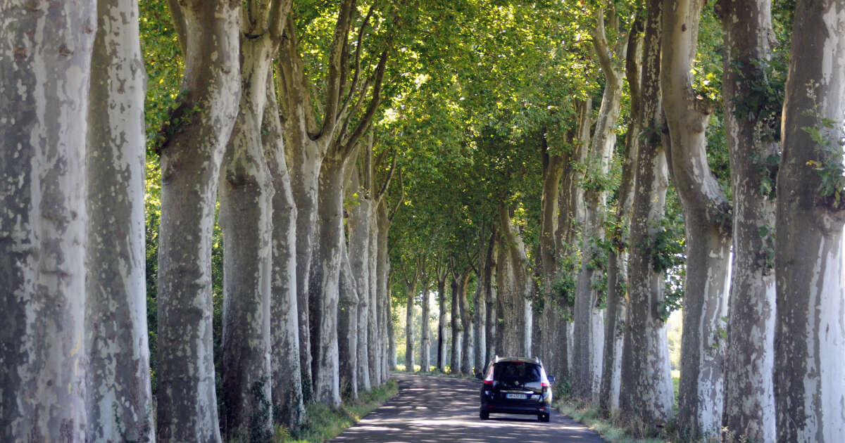 En France, la sécurité routière progresse, malgré des campagnards pressés