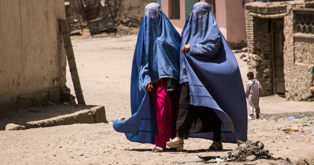 «Apprendre, c’est survivre mais risquer chaque jour de mourir» : ces Afghanes qui continuent d’étudier sous la menace talibane