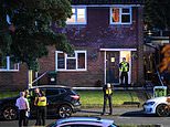 Boy, 13, is stabbed to death in house as police detectives launch murder probe