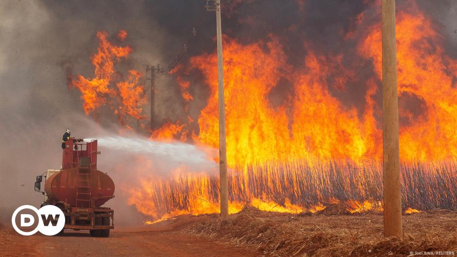 Brazil authorities declare 'war' on blazing wildfires