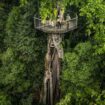 En Malaisie, au cœur d'un incroyable hôtel niché dans la forêt primaire