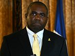 Foreign Secretary David Lammy under fire for removing pin badge of solidarity with Israeli hostages during meeting with Palestinian premier