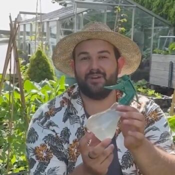 Gardener’s natural way to keep bugs from plants using ingredient you’ll have in kitchen