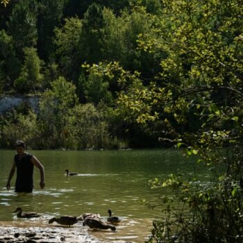 Gironde: Sous une chaleur "horrible", un étang interdit attire les baigneurs