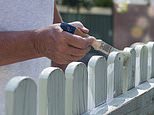 I'm a fence expert... here is what to do if a nightmare neighbour paints their side