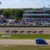 Beim 129. Traber-Derby siegte Mitfavoritin Nortolanda. Foto: Christophe Gateau/dpa