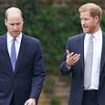 Inside William and Harry's frosty 'reunion': Princes 'discreetly' attended their uncle's funeral in Norfolk together after Duke of Sussex secretly dashed back from LA - as locals open up on what they saw