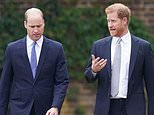 Inside William and Harry's frosty 'reunion': Princes 'discreetly' attended their uncle's funeral in Norfolk together after Duke of Sussex secretly dashed back from LA - as locals open up on what they saw