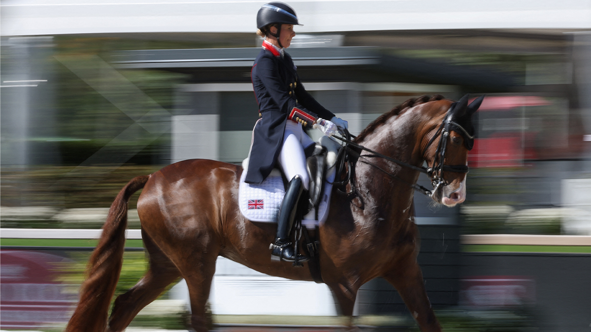 Jeux olympiques: combien de fois en une minute est-il acceptable de fouetter un cheval?