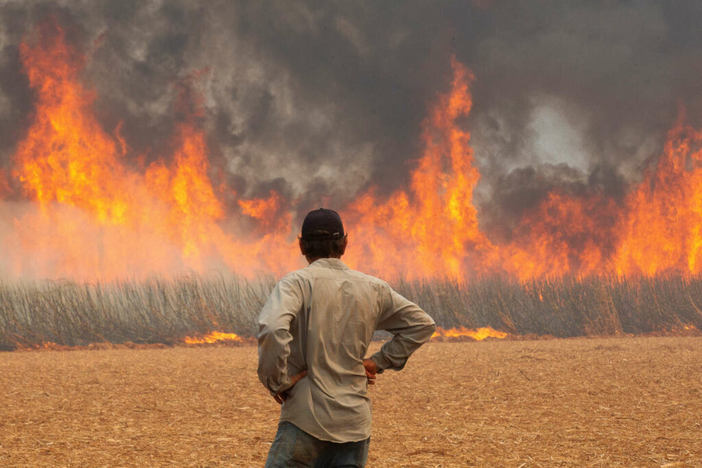 Le Brésil à la recherche de responsables après des incendies gigantesques dans l’Etat de Sao Paulo