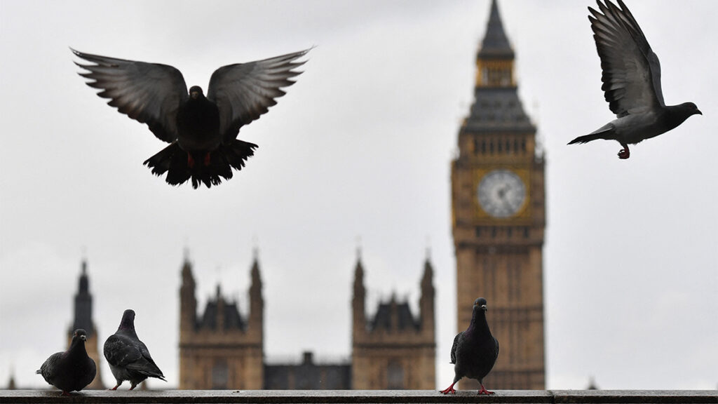 Le nouveau logo du musée de Londres est un pigeon qui défèque: voici pourquoi ce n'est pas dégoûtant