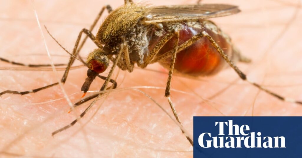 New Hampshire resident dies from rare mosquito-borne disease