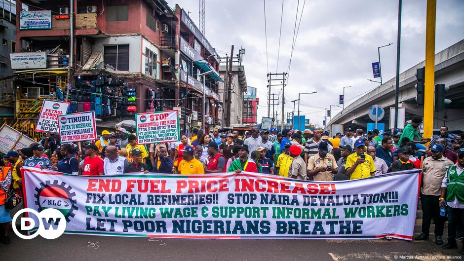 Nigeria frees Polish students, lecturer after Kano protest