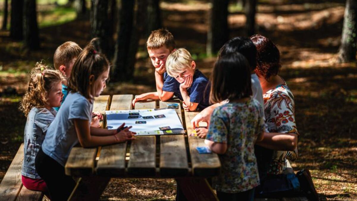 « On apprend dans la nature, et avec elle » : quand la classe s’installe en forêt