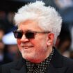 Pedro Almodóvar célébré au Festival de San Sebastián 2024