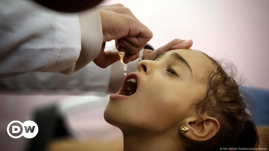 Polio vaccines arrive in Gaza after first case in 25 years