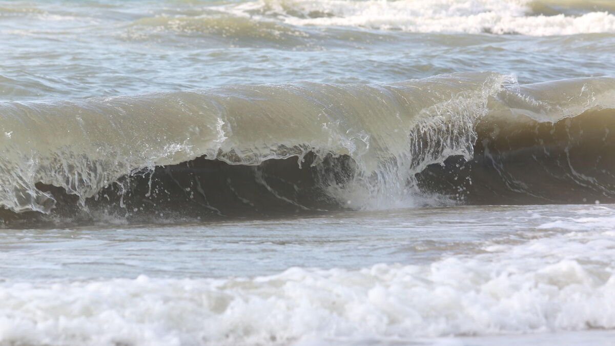 Pollution : la baignade de nouveau autorisée à Deauville et Trouville, ainsi que sur le littoral de la Somme