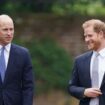 Prince Harry may cross paths with William in New York schedule clash amid Royal tension