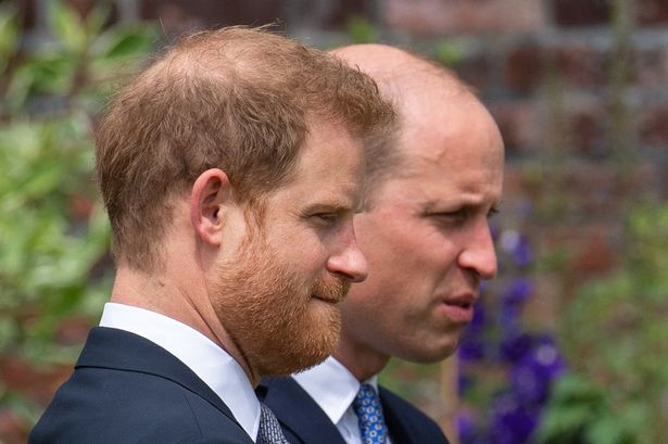 Prince Harry reveals brother William's three-word response when he travelled back to UK