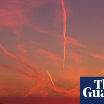 Revealed: US airlines lobbied EU over its plan to monitor plane emissions