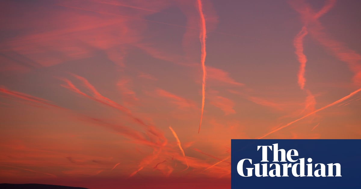 Revealed: US airlines lobbied EU over its plan to monitor plane emissions