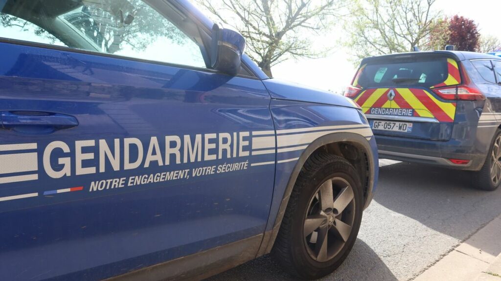 Seine-et-Marne, Essonne, Yvelines… le trio de cambrioleurs écumait le sud de l’Île-de-France