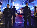 'Terror attack' in Germany: Knifeman leaves several dead after stabbing random passersby in the neck at diversity festival as armed police swarm streets and launch desperate hunt for killer