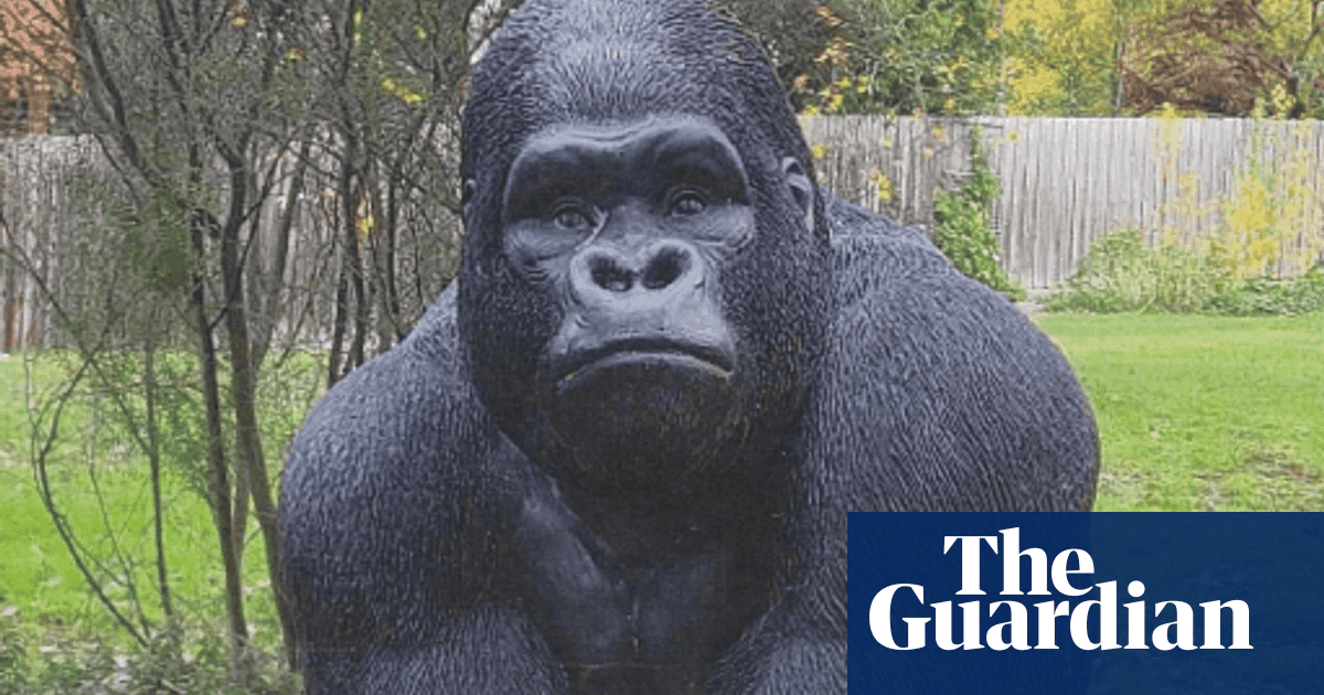 Thief who stole 20kg gorilla statue from Melbourne retirement village admits he made ‘silly’ mistake