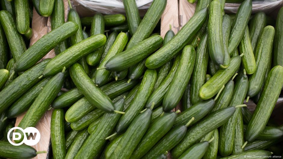 TikTok trend makes Icelanders lose their cool over cucumbers