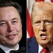 Trump and Musk LIVE: X interview FINALLY gets underway 40 minutes late after 'cyber attack' as Donald tells giggling Elon being shot was 'not pleasant' in bizarre discussion