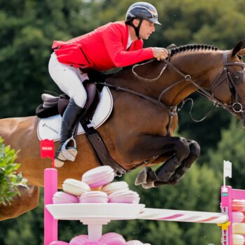 Übersicht: Das bringt Olympia am Freitag