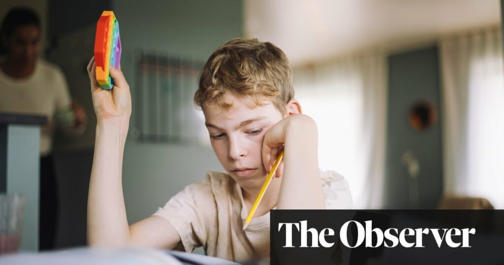 ‘I felt absolutely lost’: the crisis behind the rising number of UK children being homeschooled