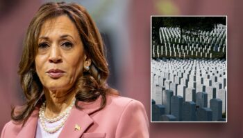 Gold Star families slam Kamala Harris for 'playing politics' over Trump's visit to Arlington National Cemetery