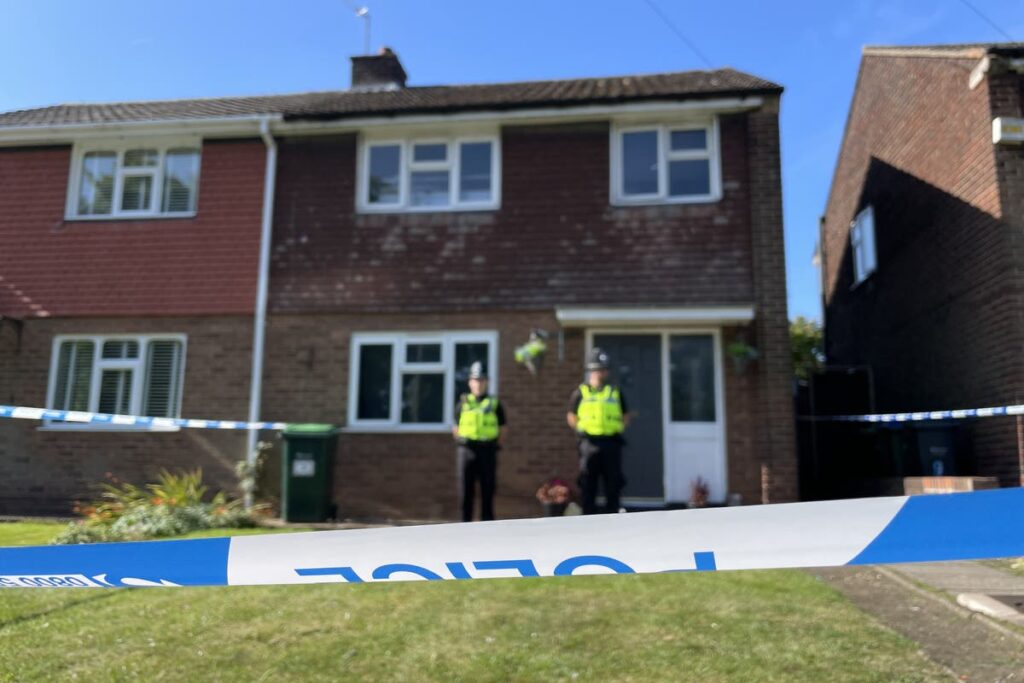 Two teenagers arrested after 13-year-old boy stabbed to death in Oldbury