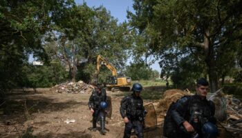 A69 : près de 60 arbres abattus, malgré la présence d’opposants