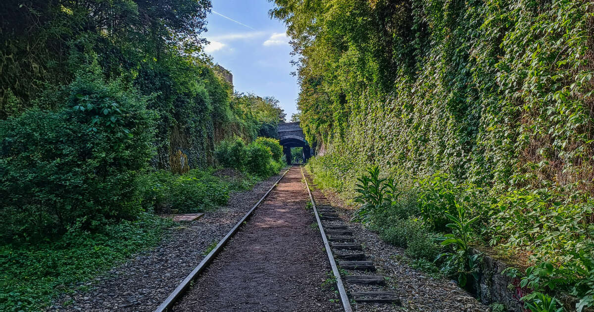 Et si Paris desserrait sa Petite Ceinture ?