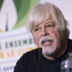 Paul Watson en prison au Groenland : la vie enfermée du fondateur de Sea Shepherd avant une décision judiciaire clé